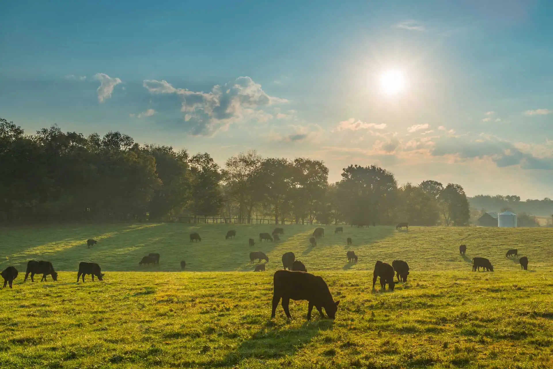 Farm Insurance Kentucky