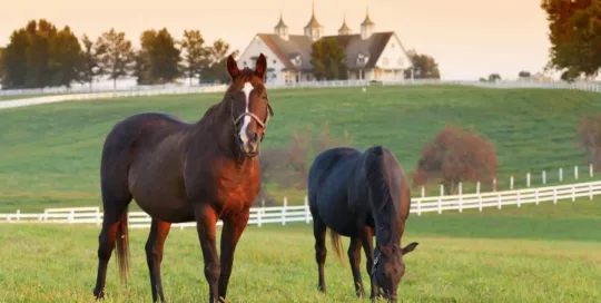 Farm Insurance Kentucky