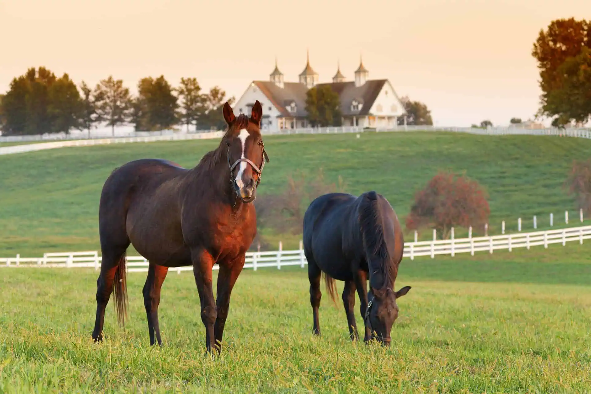 Farm Insurance Kentucky