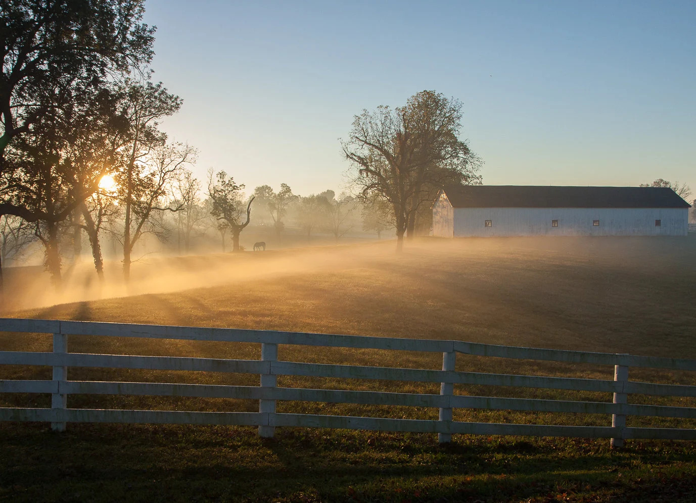 Horse Farms Insurance Kentucky