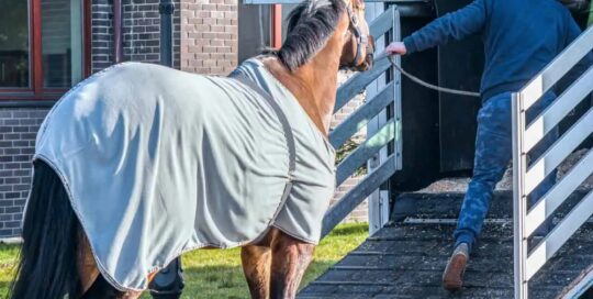 Horse Hauling & Transportation Insurance Kentucky