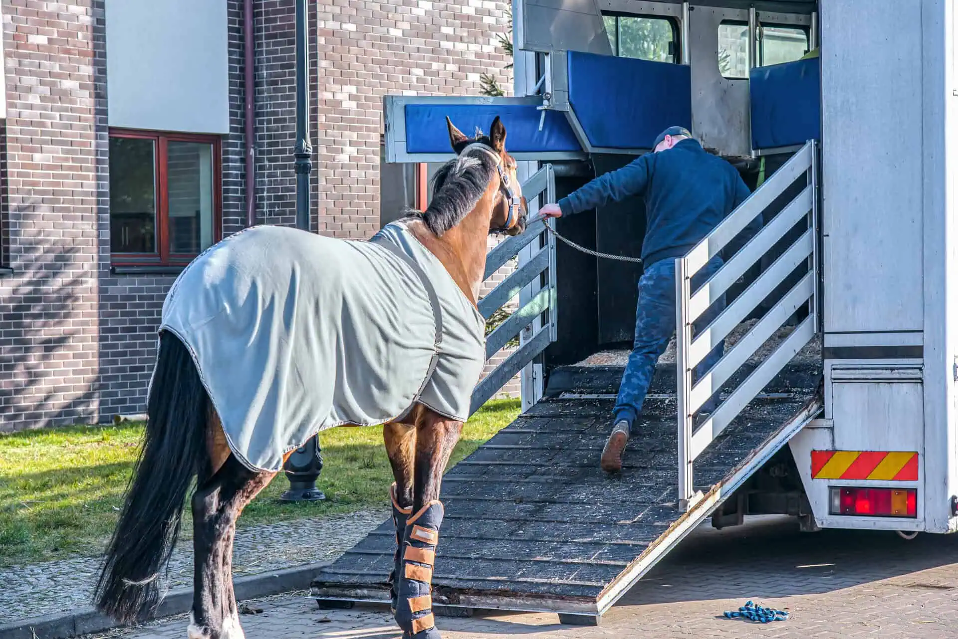Horse Hauling & Transportation Insurance Kentucky